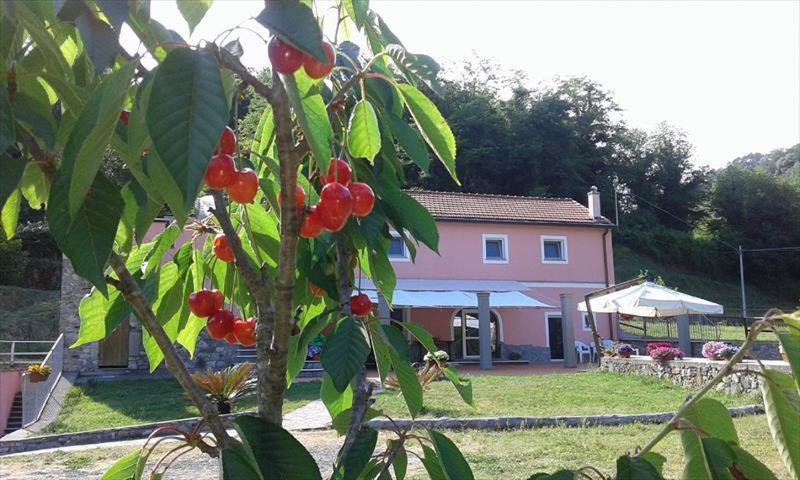 B&B La Casina Rosa La Spezia Valeriano Lunense Exterior photo