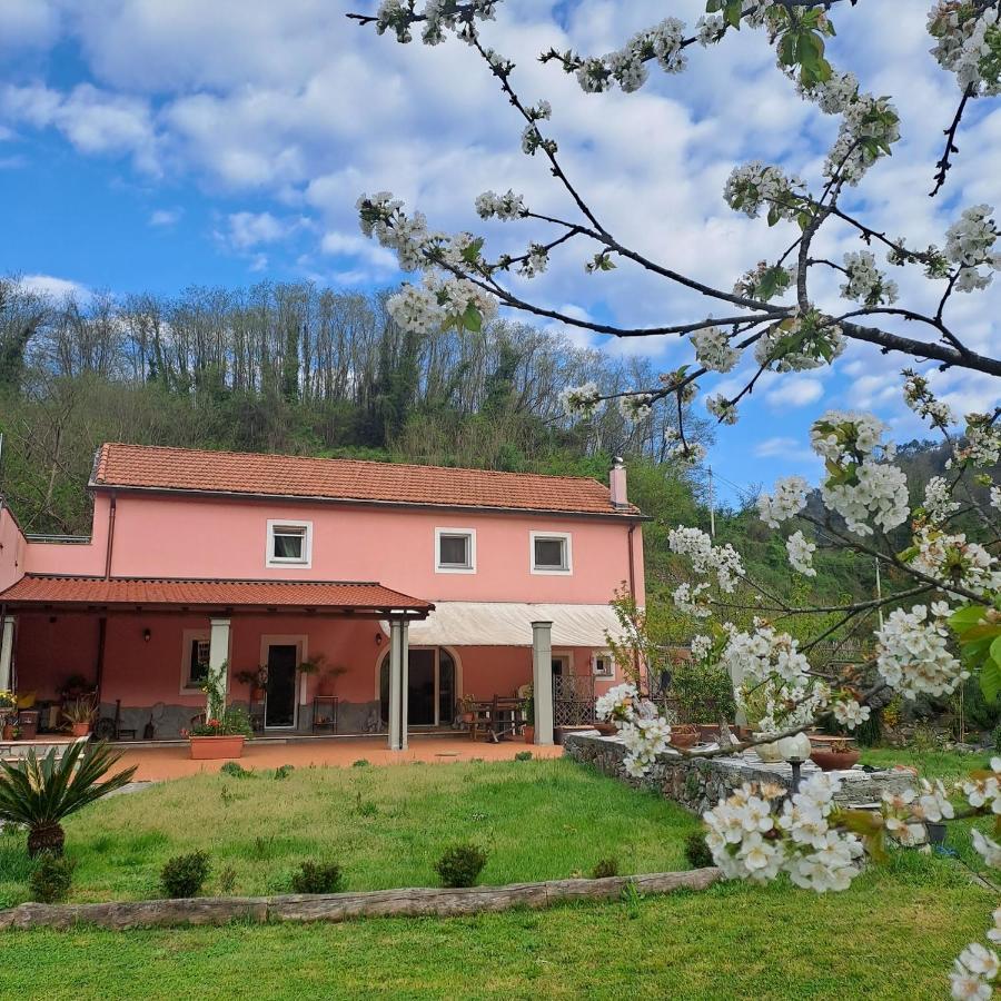 B&B La Casina Rosa La Spezia Valeriano Lunense Exterior photo